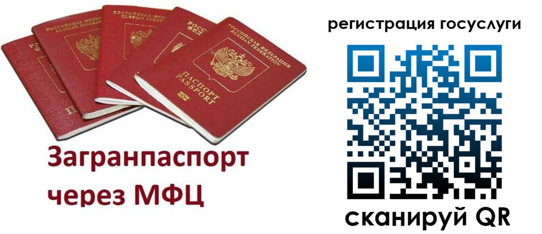 прописка 2025 в Ершове